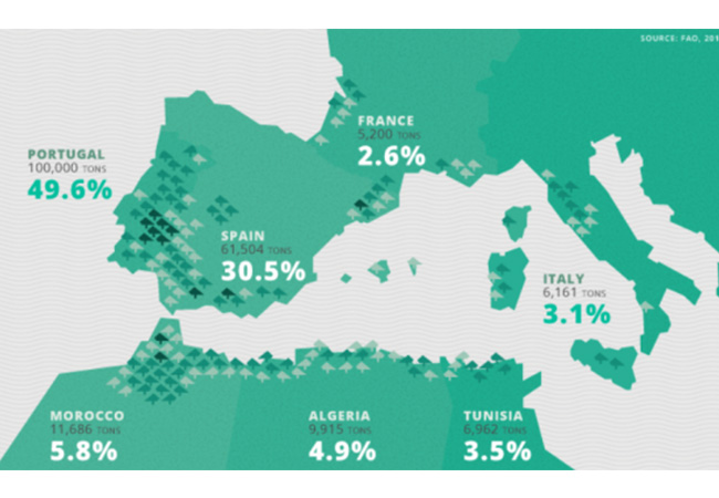 目前關于全世界的軟木產(chǎn)量你知多少
