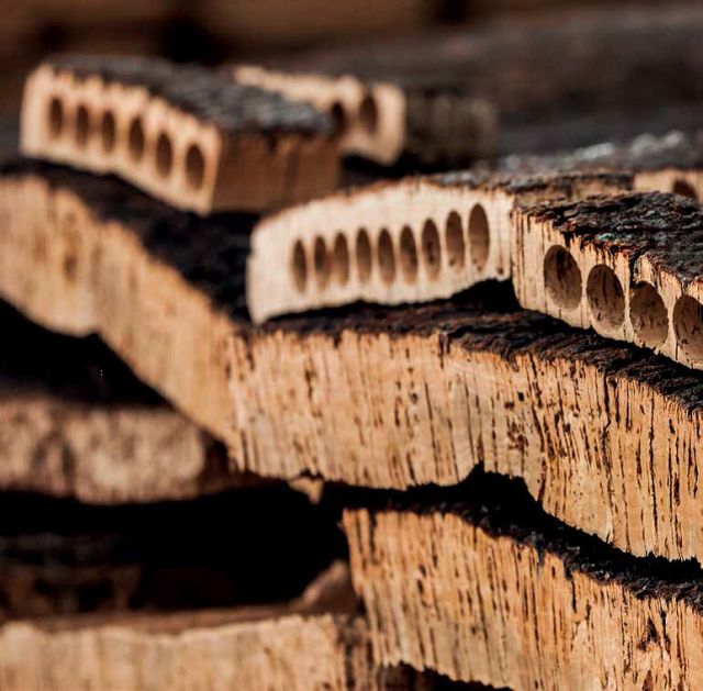 軟木的多重特性，了解一下