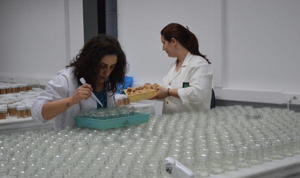 當(dāng)TCA達到一定濃度時，這種”木塞味”就能夠被人的鼻子所識別。