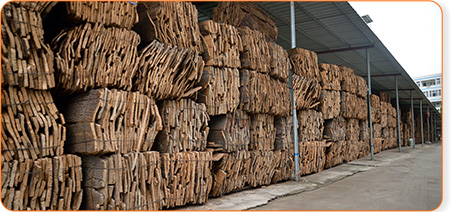 科櫟奇軟木原材料